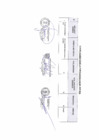 Vista preliminar de documento  RESULTADOS FINALES DE LA CONVOCATORIA CAS N° 001-2025-MDA