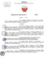Vista preliminar de documento Resolucion Directoral N° 001309-2025