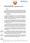 Vista preliminar de documento RD Nº D000019-2025-DE
