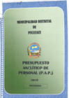Vista preliminar de documento P.A.P MDP