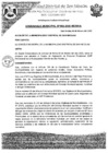 Vista preliminar de documento ORDENANZA MUNICIPAL N°003-2025-MDSN