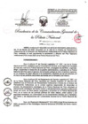 Vista preliminar de documento Plan Operativo Institucional (POI) Anual 2025 de la Policía Nacional del Perú
