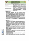 Vista preliminar de documento TDR Nº 597
