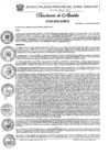 Vista preliminar de documento Nº 532-2024