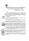 Vista preliminar de documento Resolución Gerencial General Regional