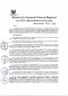 Vista preliminar de documento Resolución Gerencial General Regional