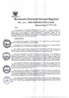 Vista preliminar de documento Resolución Gerencial General Regional