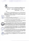 Vista preliminar de documento Resolución Gerencial General Regional