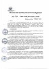 Vista preliminar de documento Resolución Gerencial General Regional