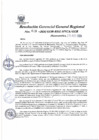 Vista preliminar de documento Resolución Gerencial General Regional