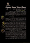 Vista preliminar de documento Resolución Gerencial General Regional