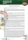 Vista preliminar de documento RESOLUCION GERENCIAL N° 00054-2025