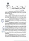 Vista preliminar de documento Resolución Gerencial General Regional