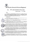 Vista preliminar de documento Resolución Gerencial General Regional