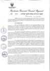 Vista preliminar de documento Resolución Gerencial General Regional