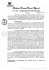 Vista preliminar de documento Resolución Gerencial General Regional