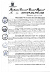 Vista preliminar de documento Resolución Gerencial General Regional