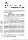 Vista preliminar de documento Resolución Gerencial General Regional