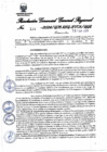 Vista preliminar de documento Resolución Gerencial General Regional
