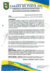 Vista preliminar de documento RESOLUCION DE ALCALDIA N° 019-01-2024-MDCPS-ALC
