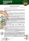 Vista preliminar de documento RESOLUCION GERENCIAL N° 00074-2025