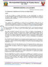 Vista preliminar de documento ORDENANZA MUNICIPAL N°001-2025-MDPN