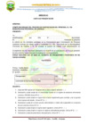 Vista preliminar de documento ANEXOS PROCESO D.L 728