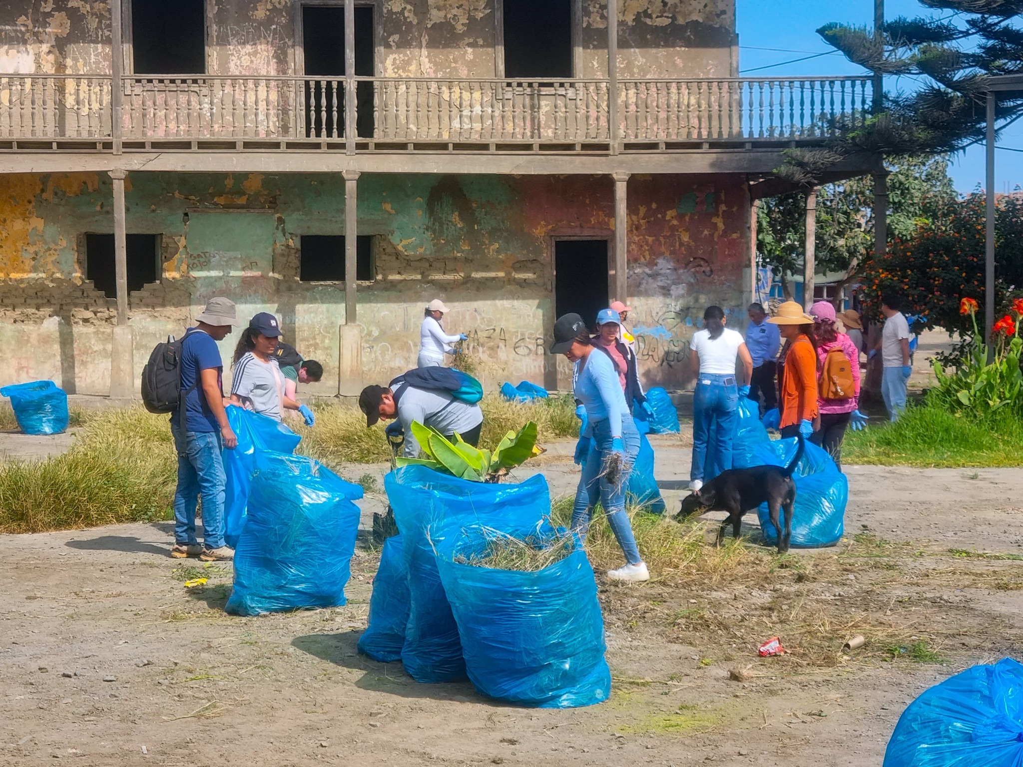 Foto: Unidad de Imagen Institucional
