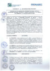 Vista preliminar de documento CONVENIO N° 31-2025-MINEDU-VMGI-PRONABEC - CÁMARA DE COMERCIO Y LA PRODUCCIÓN DE PUNO
