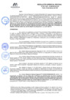 Vista preliminar de documento RGR GRI 052-2025