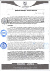 Vista preliminar de documento rgm20