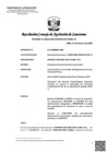 Vista preliminar de documento RCONAS-00030-2025-PRODUCE-CONAS-UT