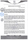 Vista preliminar de documento rgm43