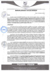 Vista preliminar de documento rgm49