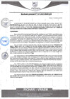 Vista preliminar de documento rgm57