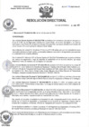 Vista preliminar de documento R.D N° 048-2025-HMA-DG