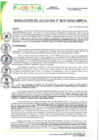 Vista preliminar de documento RA N°216-2025-MPP-A