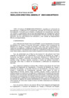 Vista preliminar de documento RDG 010-2025 ECL IE LE Asoc PO Proces Primario Fibra Alpaca-aprob