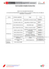 Vista preliminar de documento DIRECTIVA RDE 40