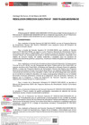 Vista preliminar de documento RESOLUCION DIRECCION EJECUTIVA-000176-2025-DE