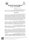 Vista preliminar de documento RDR Nº 0483-2025-GRSM-DRE