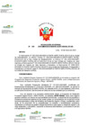 Vista preliminar de documento RJ N° 021-2025-DE-UA