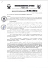 Vista preliminar de documento r95