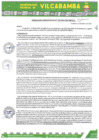 Vista preliminar de documento RADMIN 029 2025