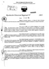 Vista preliminar de documento RDR 0085-2025