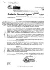 Vista preliminar de documento RDR 0087-2025