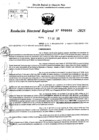 Vista preliminar de documento RDR 0088-2025