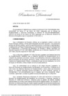Vista preliminar de documento RD 039