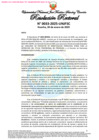 Vista preliminar de documento Resolución Rectoral