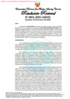 Vista preliminar de documento Resolución Rectoral